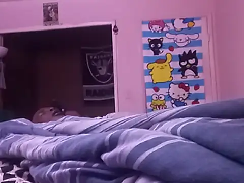 Blkstylion webcam