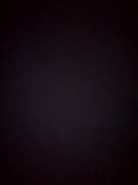DigCrok webcam
