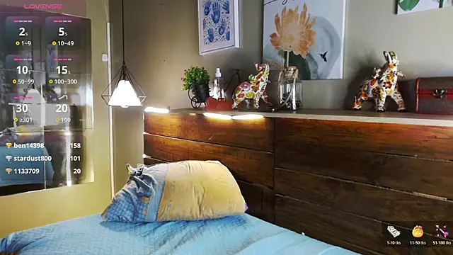 SonicJ25 webcam