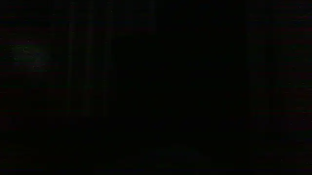 raredick webcam