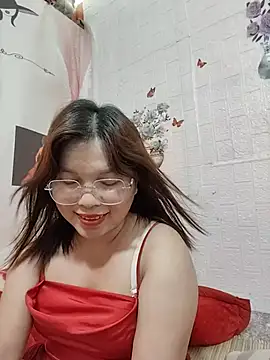 Cover-baa webcam