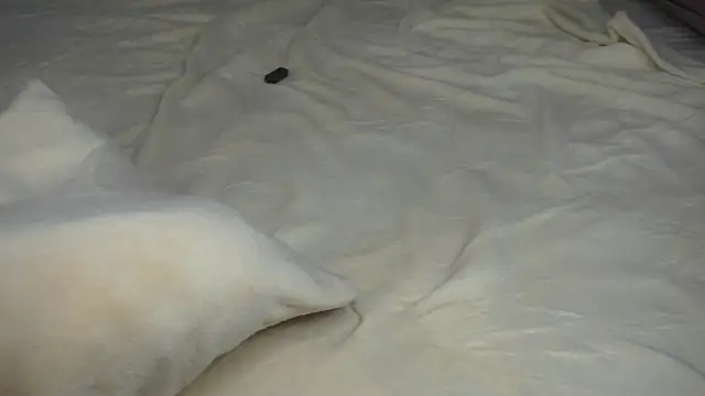 KasiReitan webcam