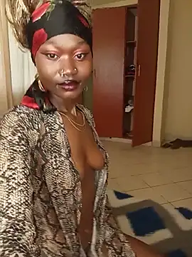 Miragea webcam