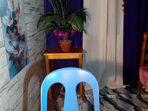 SimiLause webcam