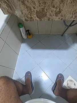 dream_catcher webcam