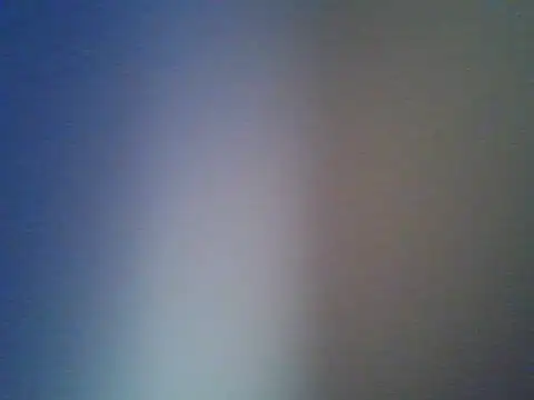 salimzw webcam