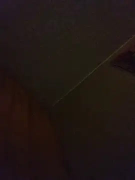 Saweetieyblacksnake webcam