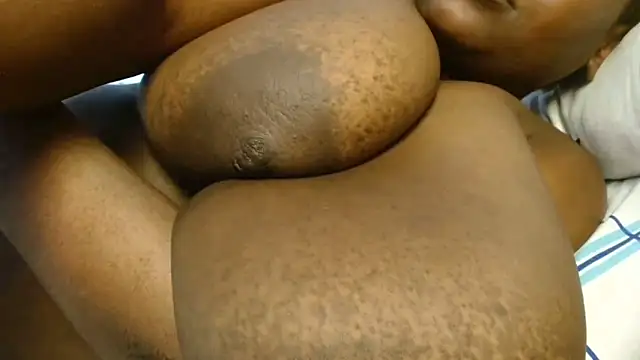 titi_fiesta webcam
