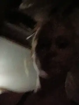 Queen2454 webcam