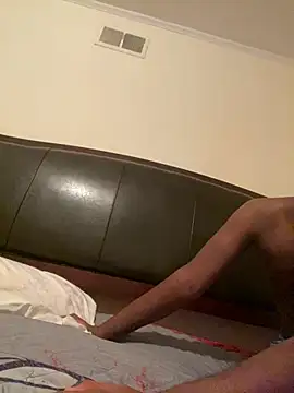 ThickDic28 webcam