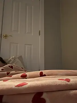 chi-cock webcam