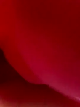 rihamrim (F young) - اصبع في طيزي 🥕🔥