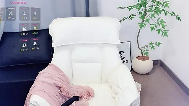 Insist6 webcam