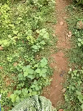 Live sex cam di telugubidda333