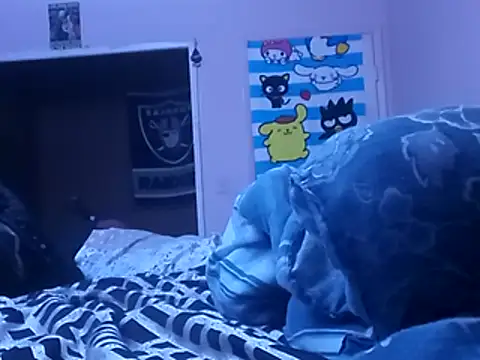 Blkstylion webcam