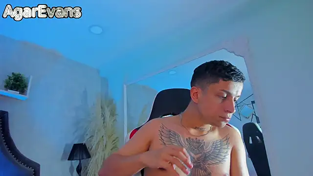 AgarEvans webcam