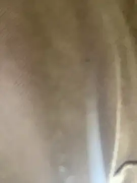 GusanoDelicioso webcam