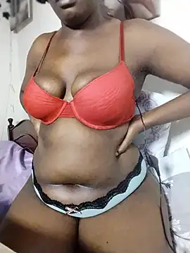 1_chep webcam
