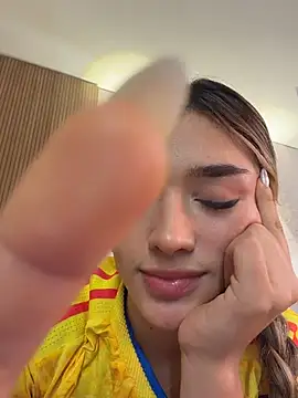 Arianavillada webcam