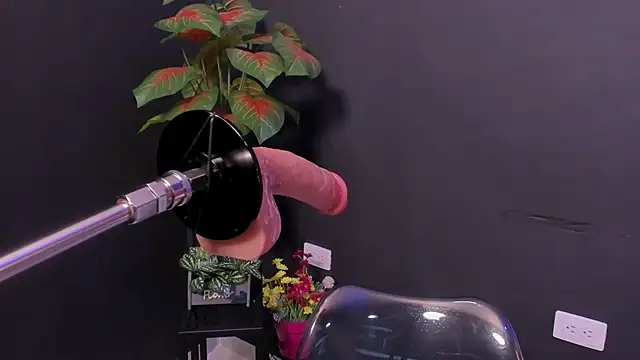 Amy_whittee webcam