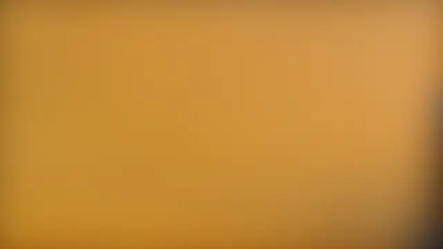 irohsako webcam