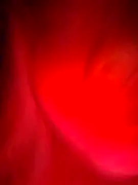 Honeycitabomnita webcam
