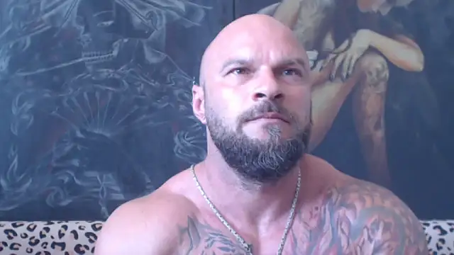 viking_30 webcam