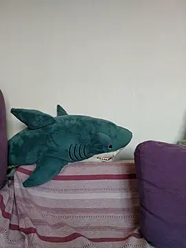 Kat__boobs - Couple Stripchat model
