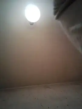 Ratacrocante webcam