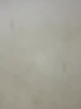 zara344 webcam