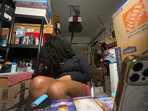 wynterheat webcam