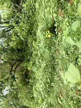 telugubidda333 webcam