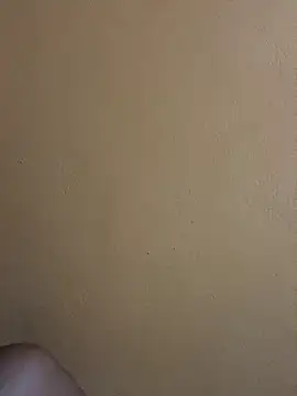 Neguimhhh webcam