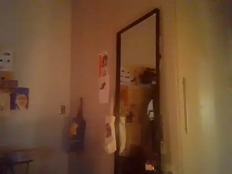 plsmecha webcam