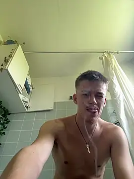 Toyjungee webcam