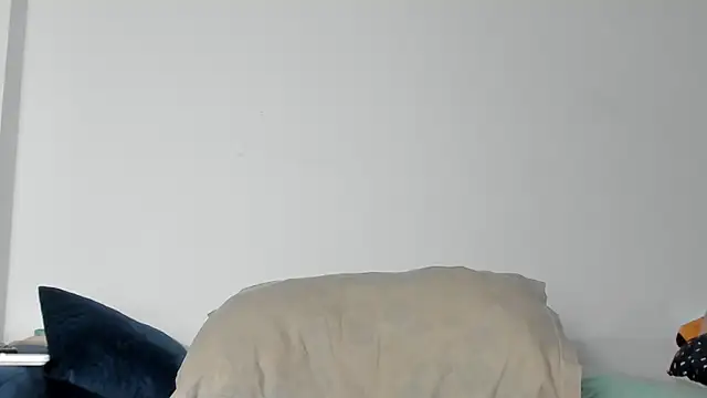 10in_deluxe webcam