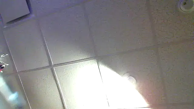 eurodiznee webcam