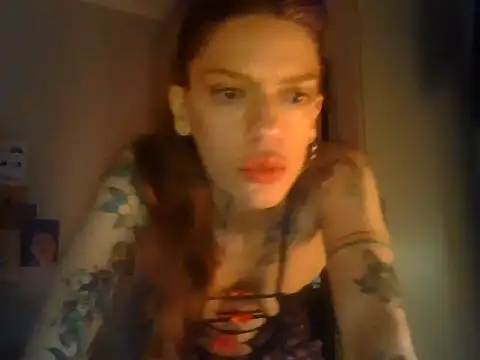 plsmecha webcam