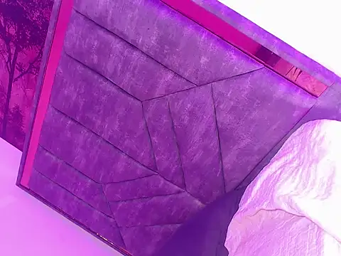 Hilary_tsx webcam
