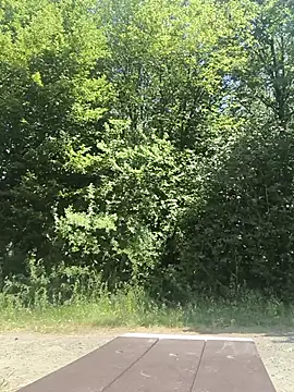 youngestOjta webcam