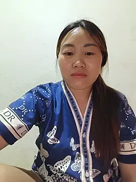 he-se-kin webcam