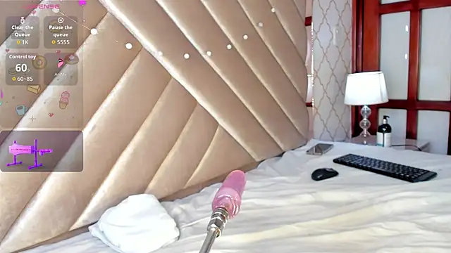 KaelSoft_ webcam