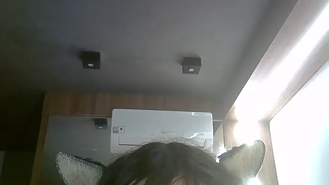 SkinnyKitten webcam