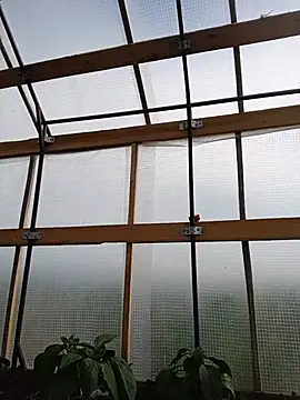 NicoleOlla webcam