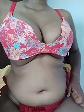 Zaraangle webcam