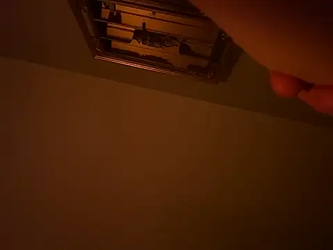 GLove187 webcam