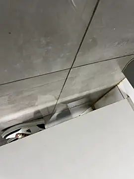 Turkishleo webcam