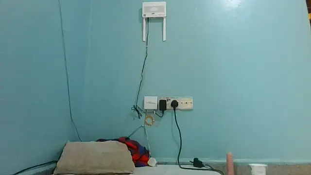 Cozybear webcam