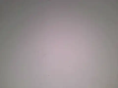 suzan_melly webcam