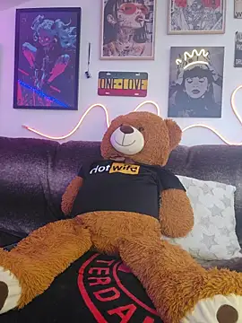 U_prolazu webcam